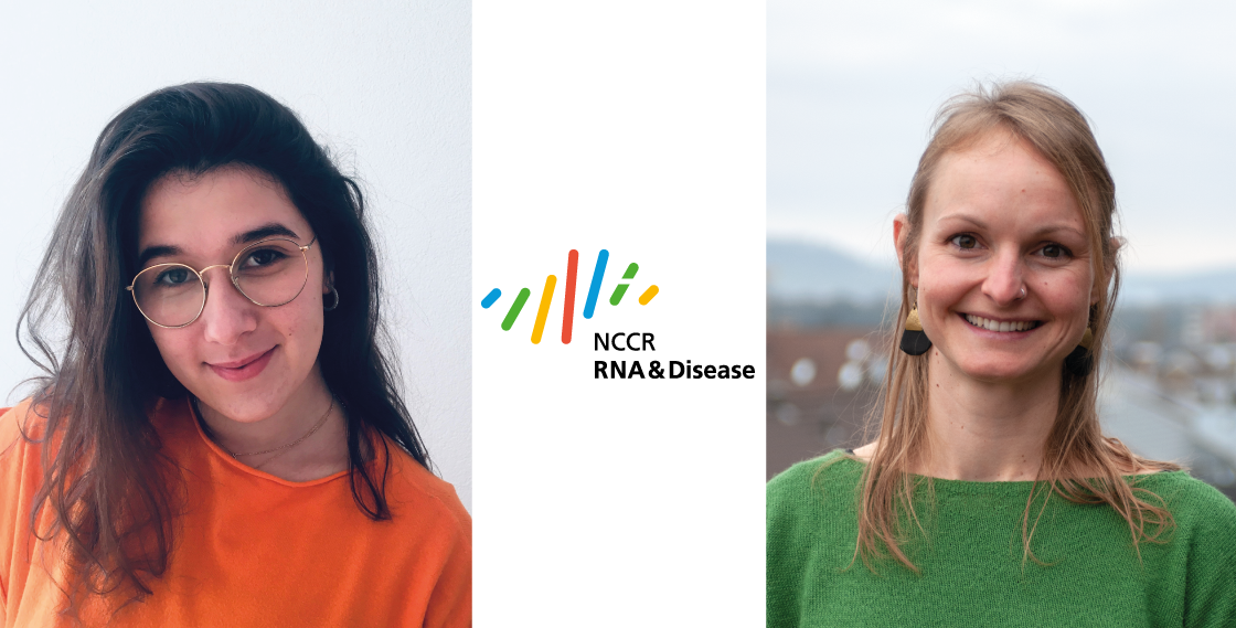 Parisa Rastin New Postdoc and PhD Student Representatives | Swiss National Center of ...